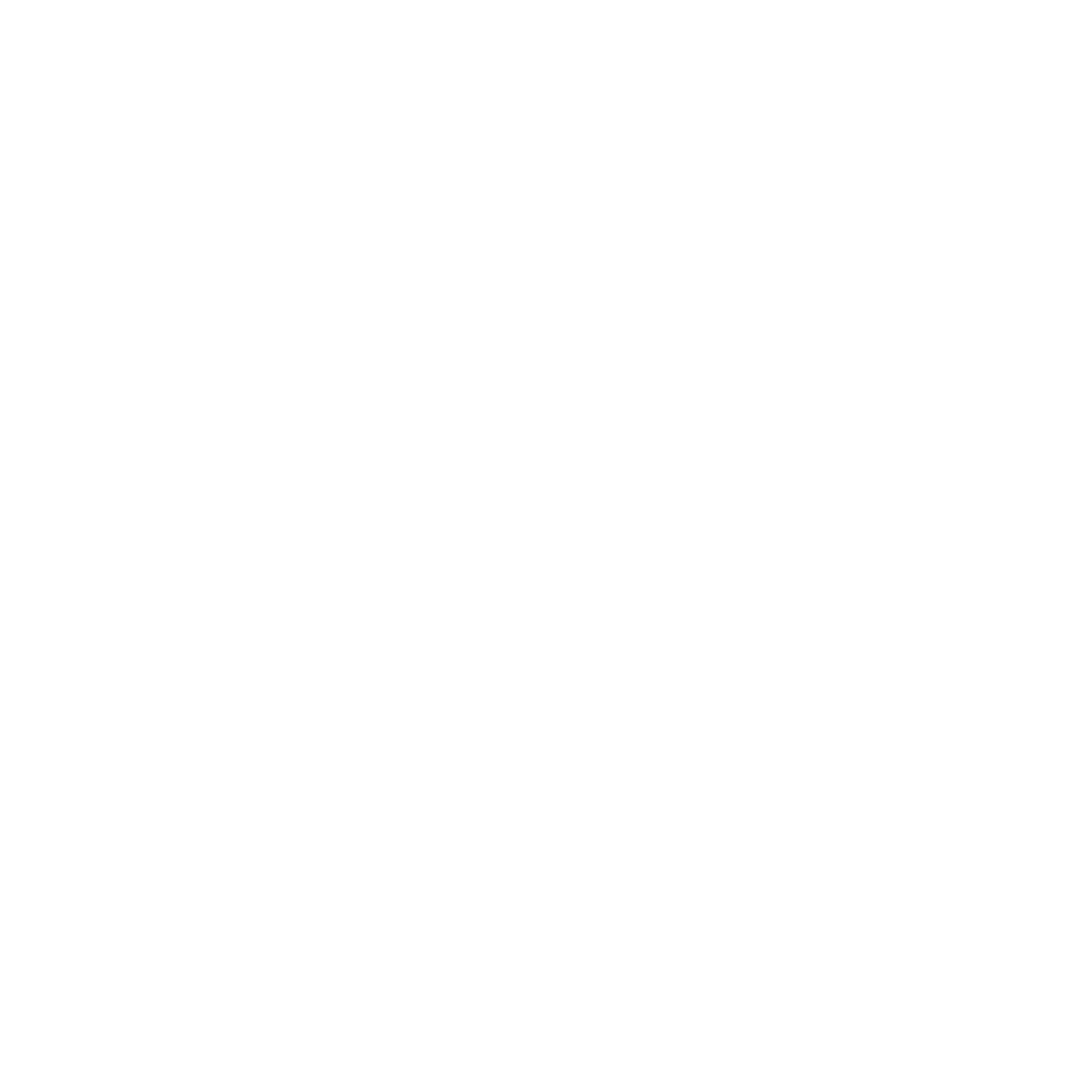 Mail White Icon