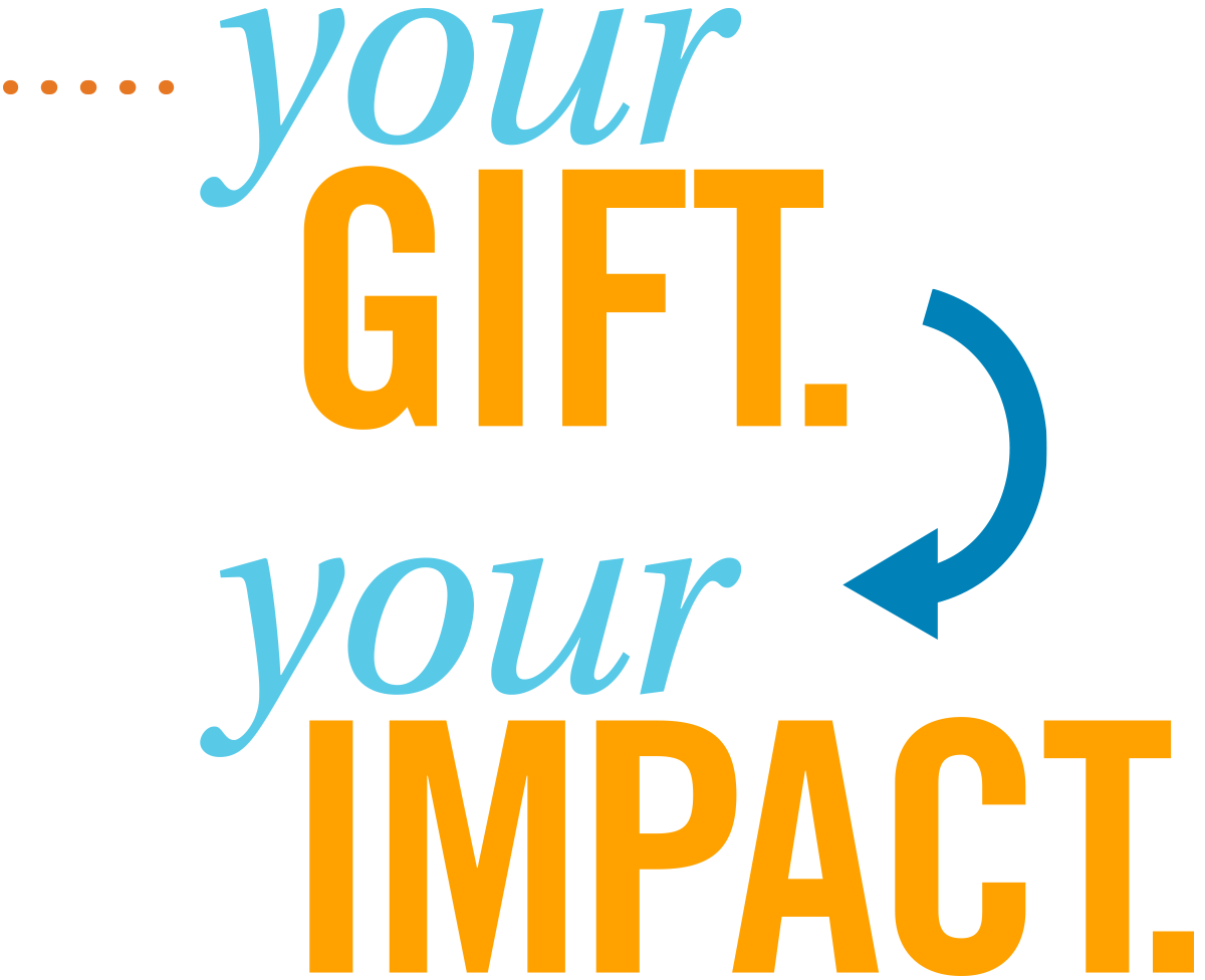 Your Gift Your Impact
