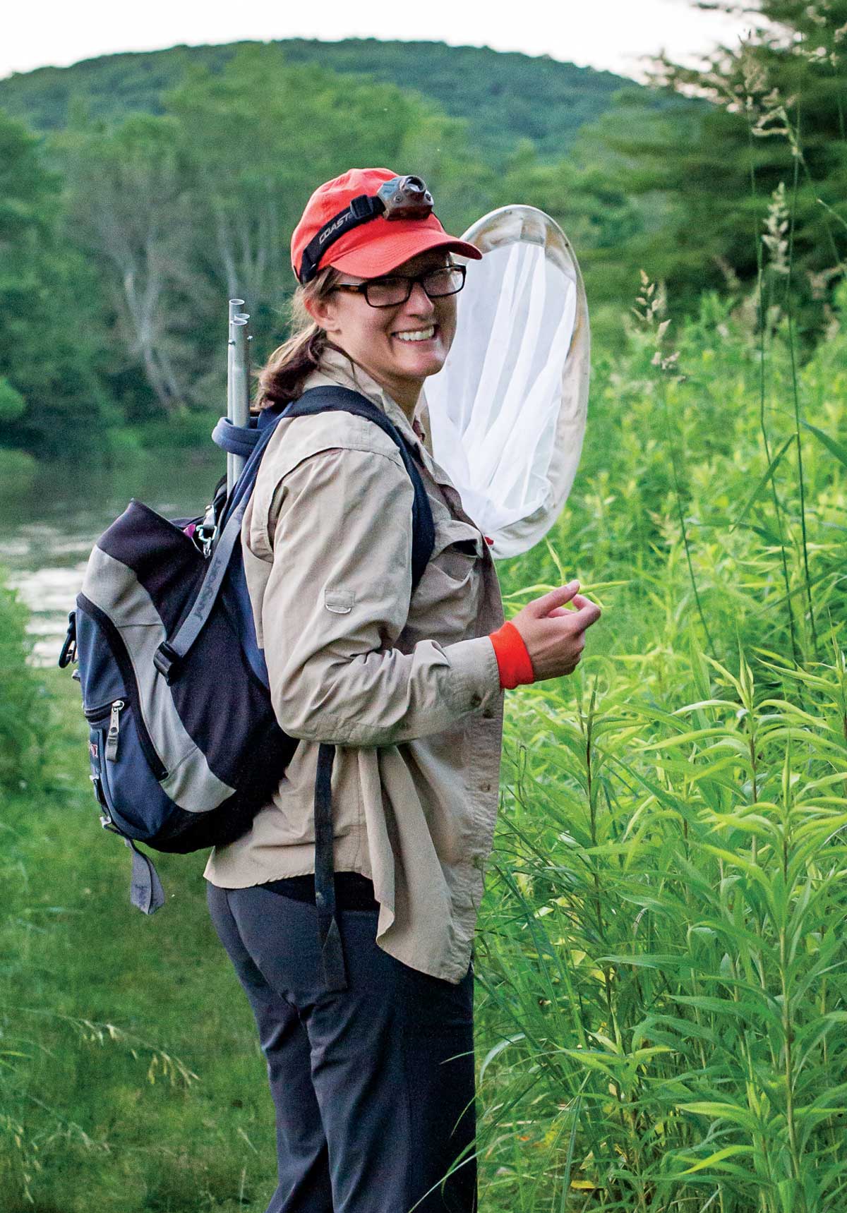 Professor Sarah Lower hunts for Chinese lantern fireflies in the vegetation
