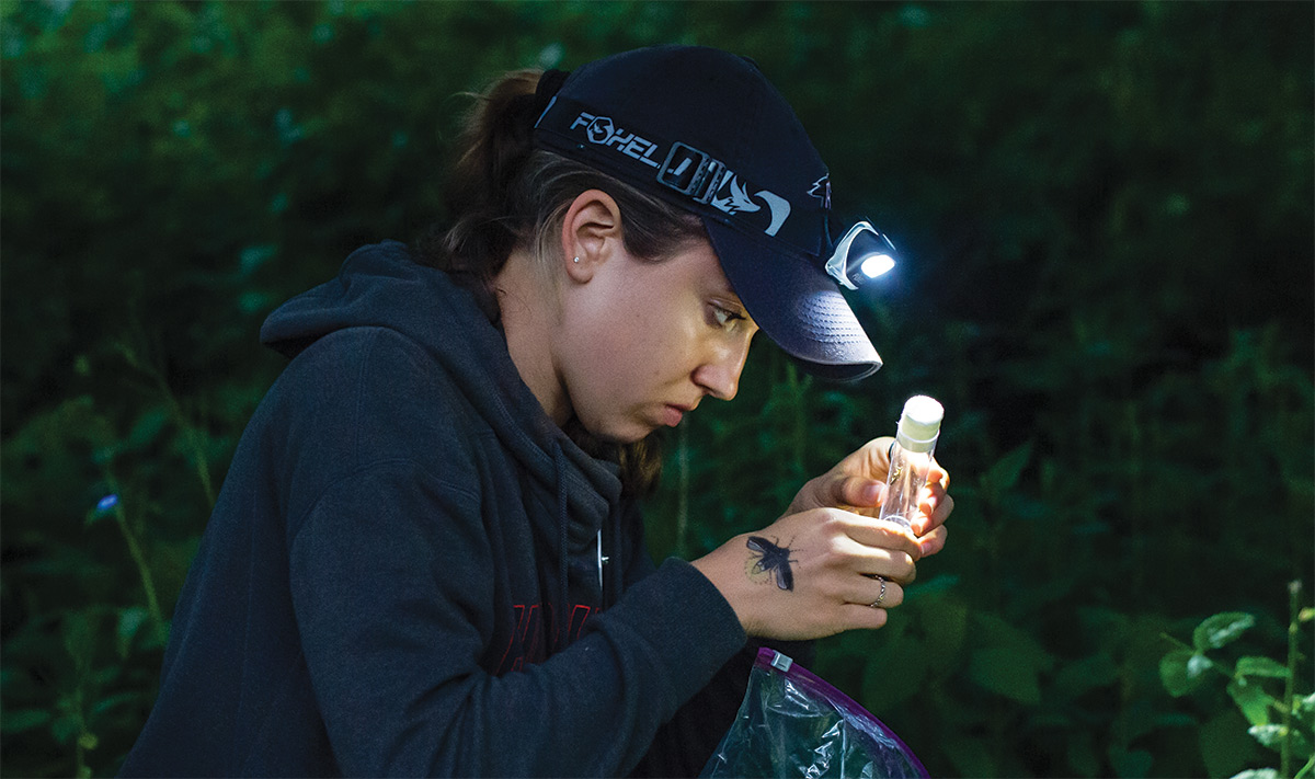 Sarah Bain ’21 checks to see if the firefly she caught is male or female