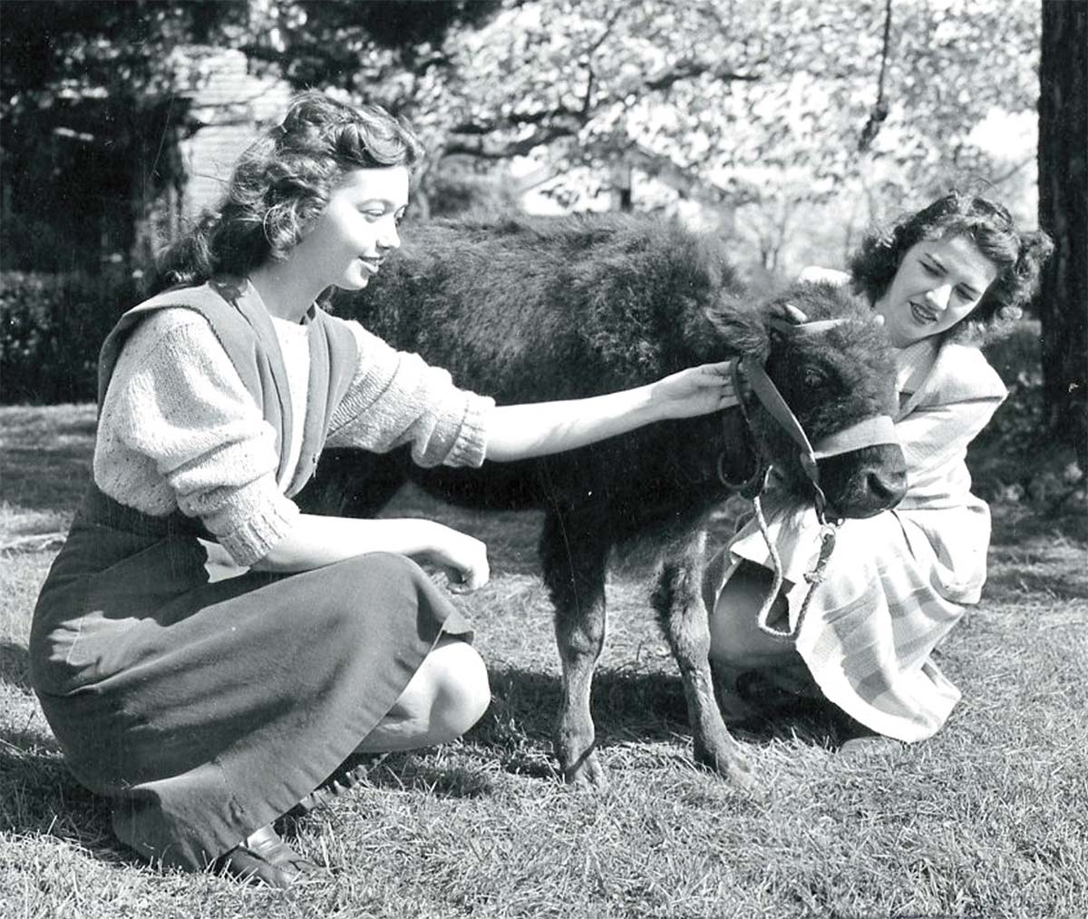 Shirley Shumberger and Jean McKernan with Bucky, who made his first appearance at the 1946 Centennial Homecoming game
