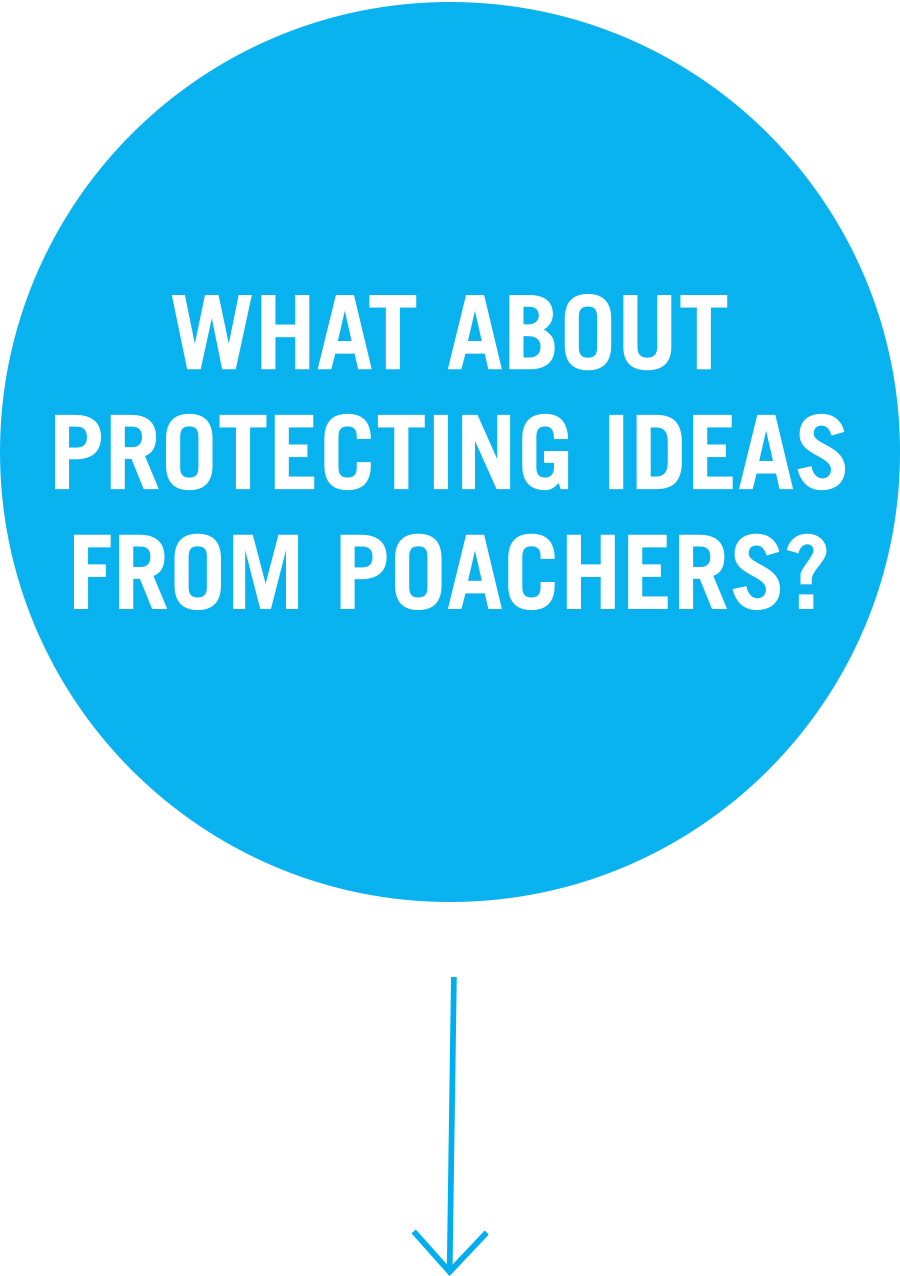 Question 5: What about protecting ideas from poachers?