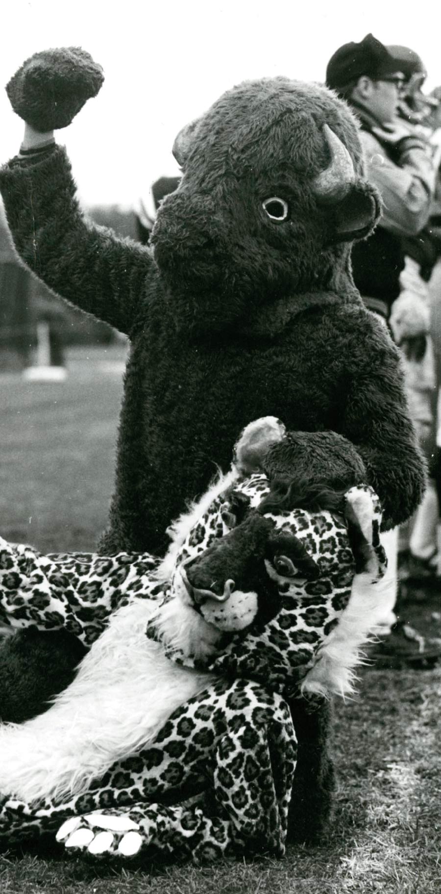 Bucky trounces his opponent in this undated photo.