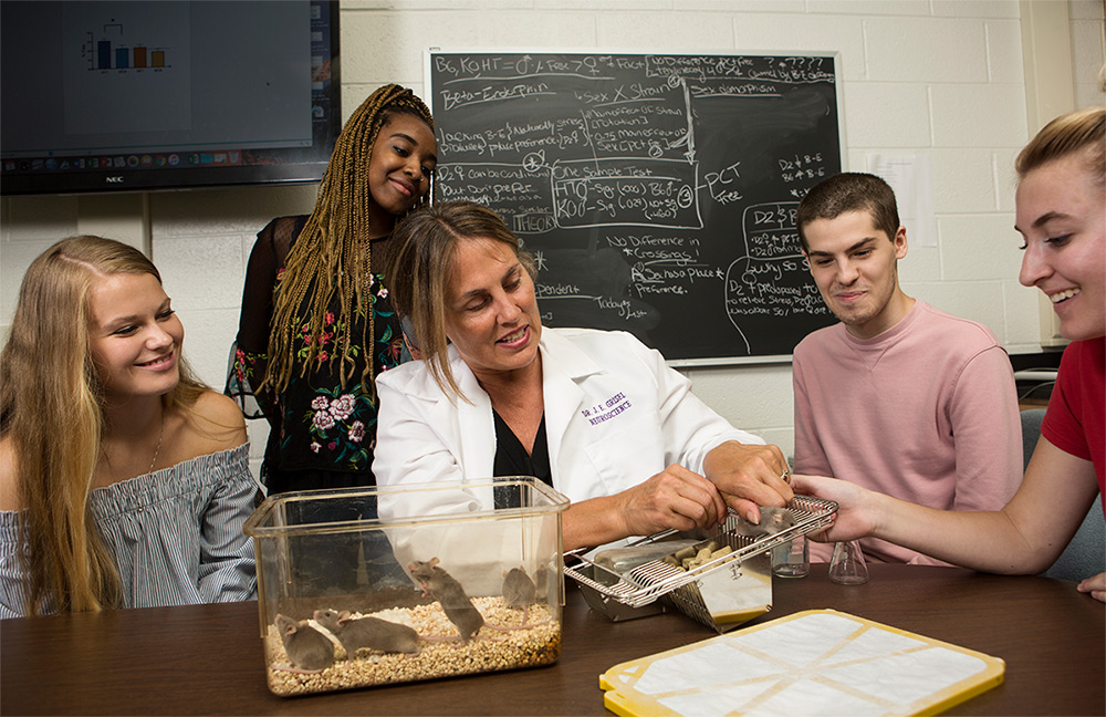 Student and Professor Studying Mice