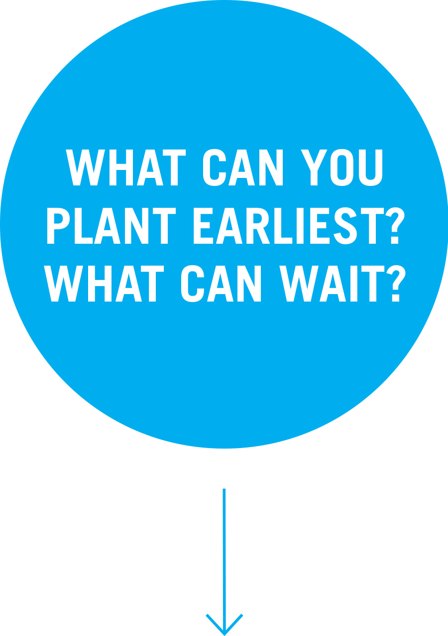 Question 3: What can you plant earliest? What can wait?
