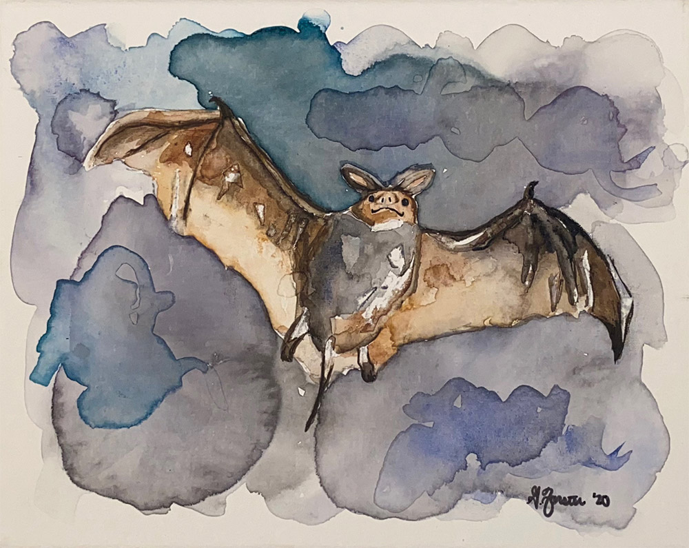 painted image of a bat by Grace Forster
