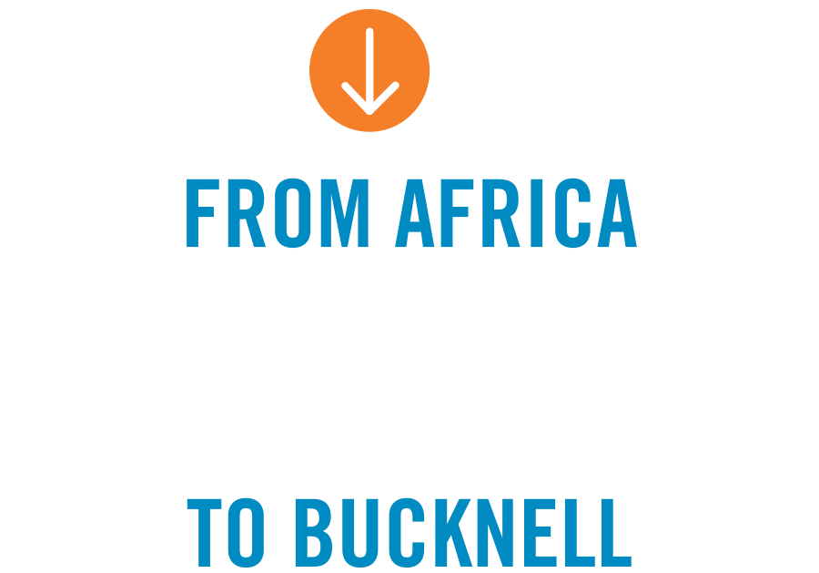From Africa to Bucknell typography