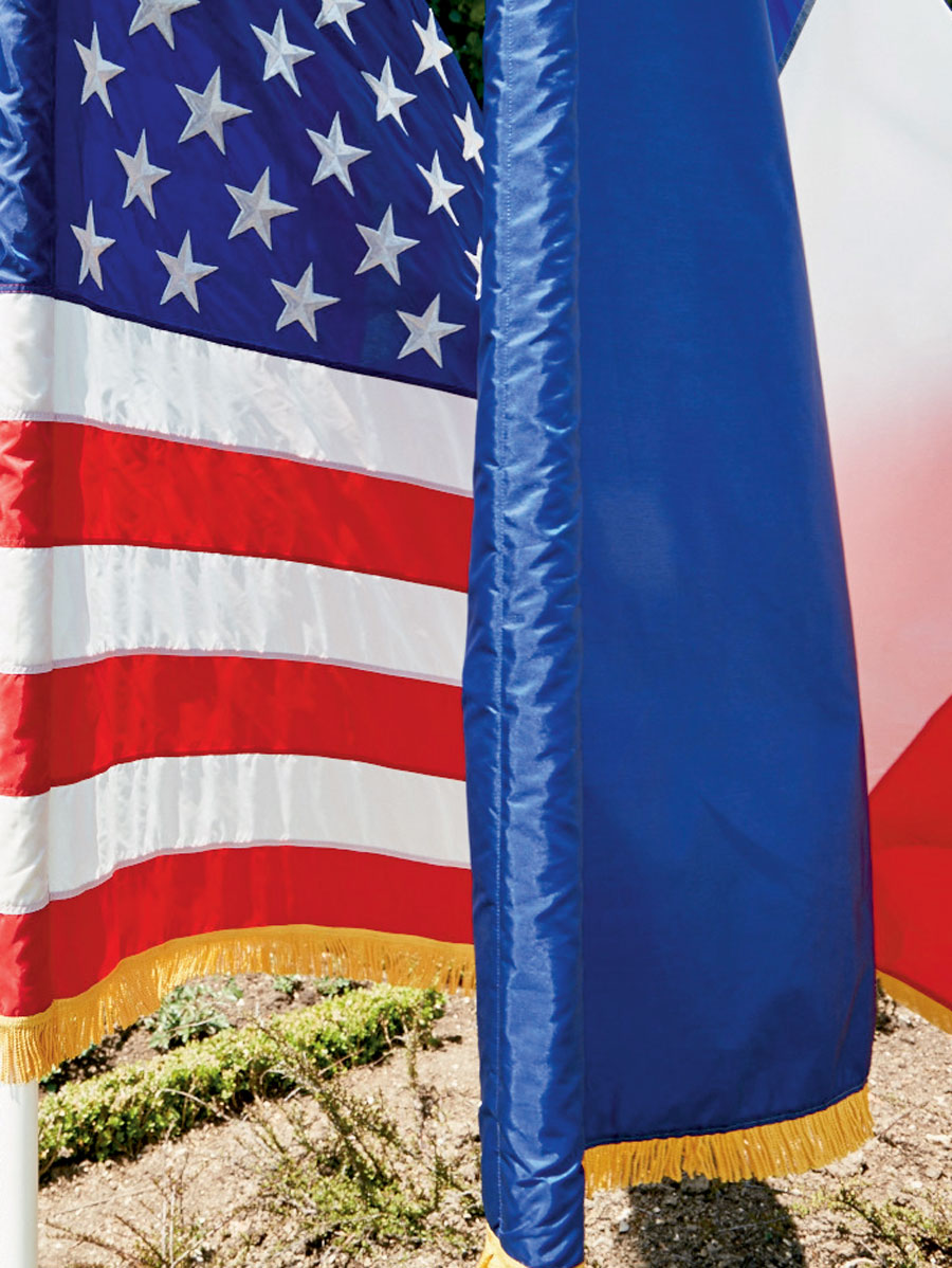 French and American flags