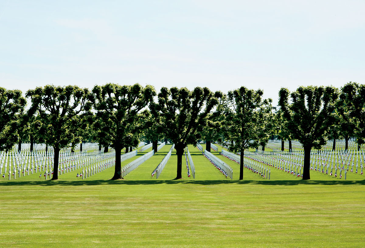 Military cemetery lined with trees