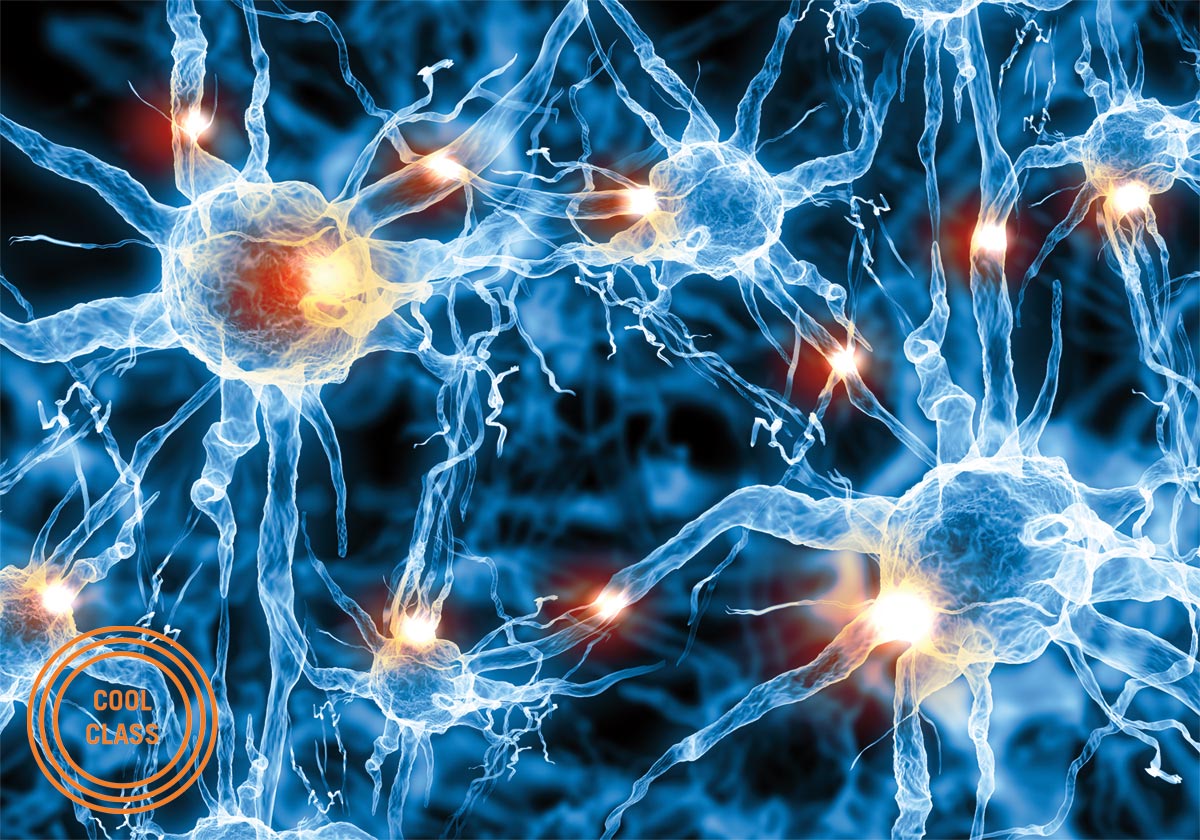 close view of neurons firing