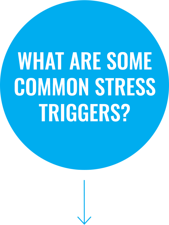 Question 2: What are some common stress triggers?