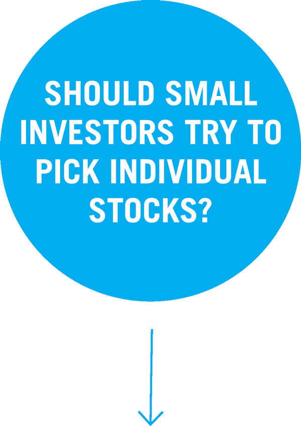 Should small investors try to pick individual stocks?