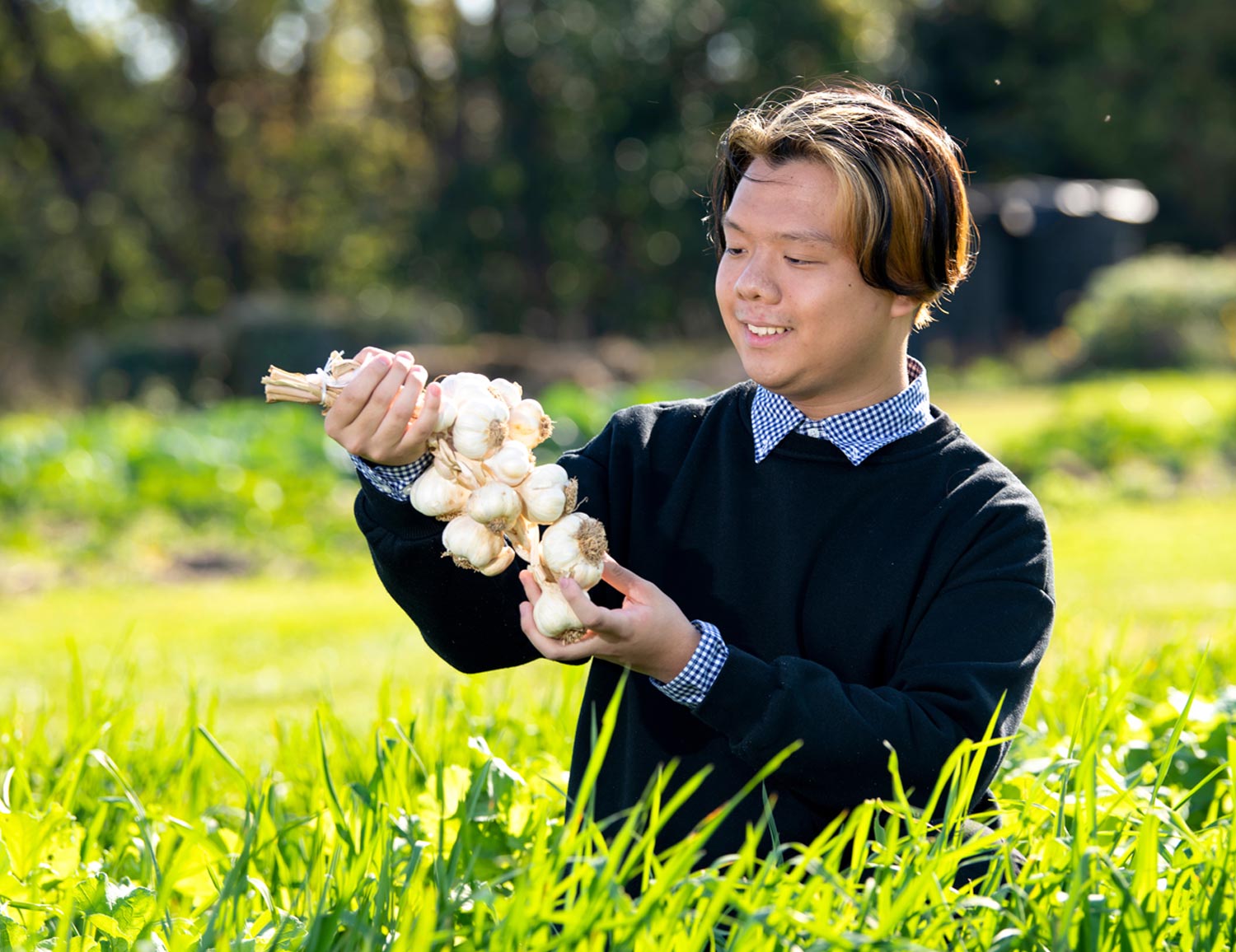 student Sam Pring examines a bushel of garlic bulbs in a field