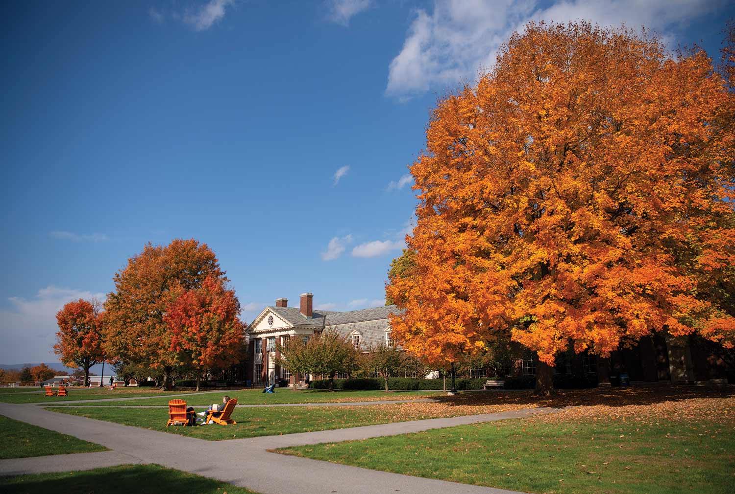 The bright orange trees of Bucknell growing in fresh, green grasses contrasted by a sky of blue.