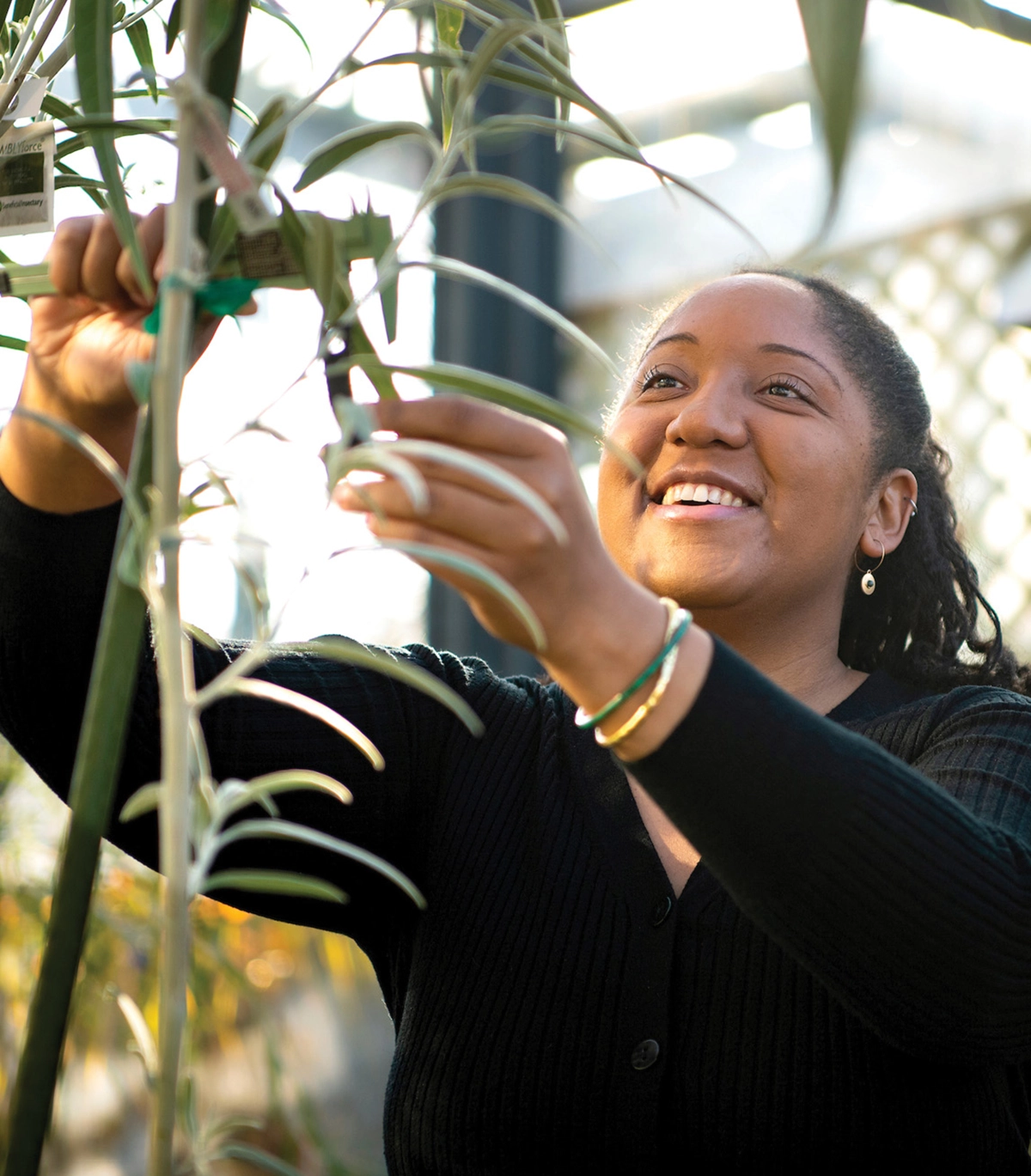 Post-doctoral Fellow Tanisha Williams cared for the plant specimens, grown from seeds, in the Rooke Science Center greenhouse.