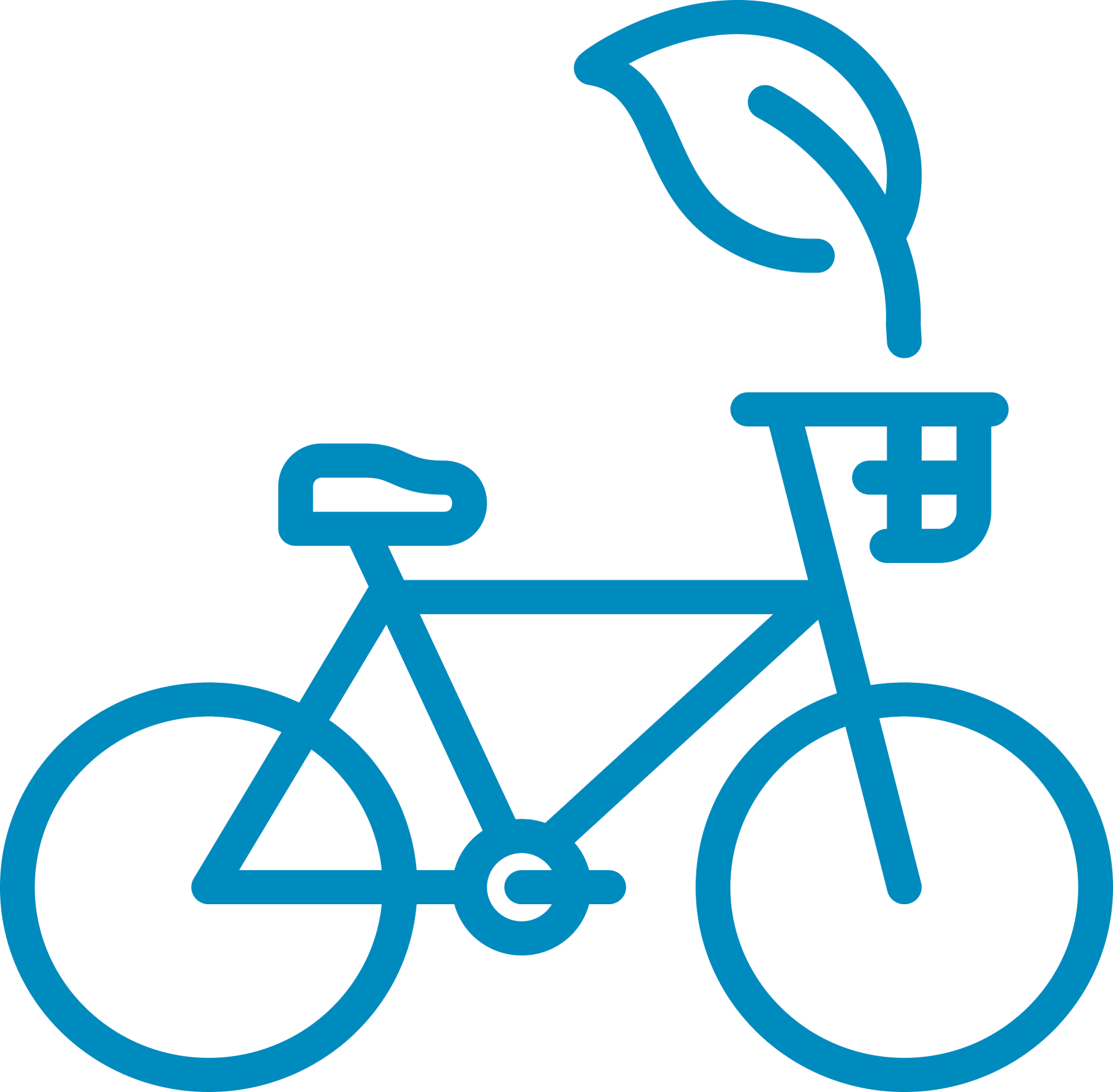 line drawing of a bicycle with a leaf in the basket