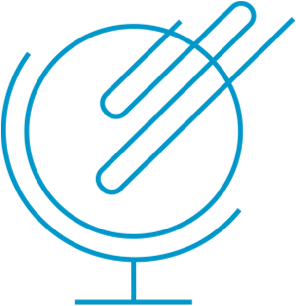blue globe icon