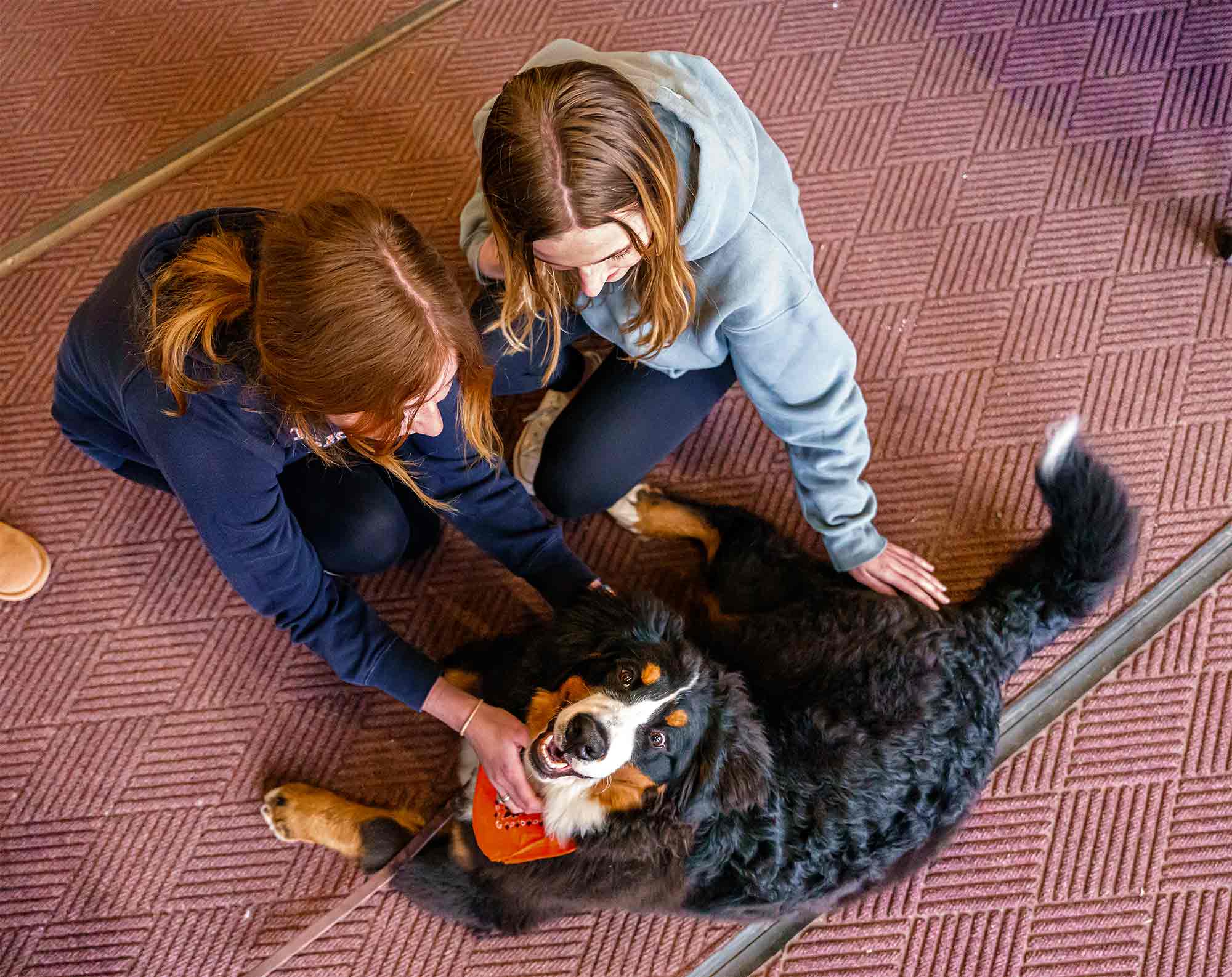 Two girls petting a Bernese Mountain Dog that is laying on the floor looking at the camera